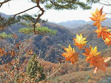 最高人民检察院祝松祥，法治精神的坚定捍卫者