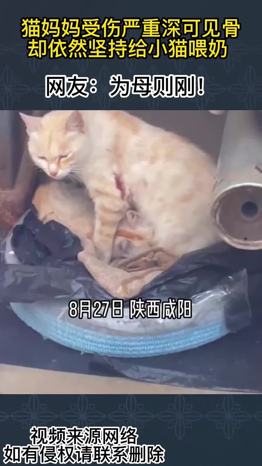 浅夏ご☆琉璃 第4页