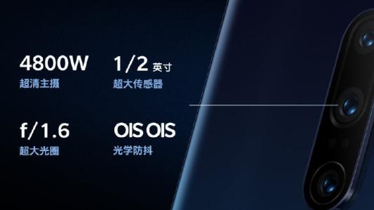 跨越世纪的亲情，一位111岁母亲与她的90岁儿子的故事