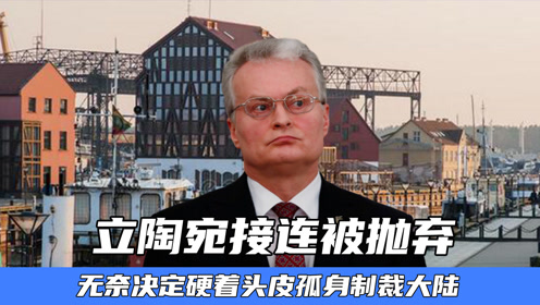 立陶宛被抛弃的背后，深度解析与反思