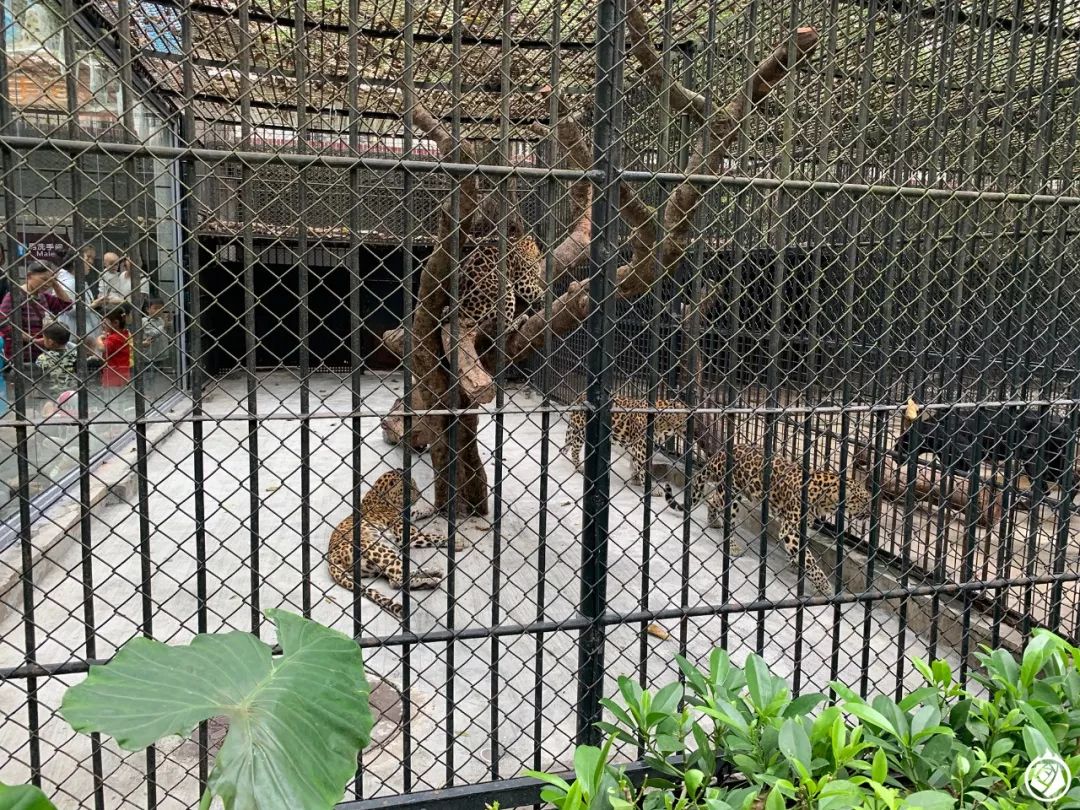 港澳新闻 第335页