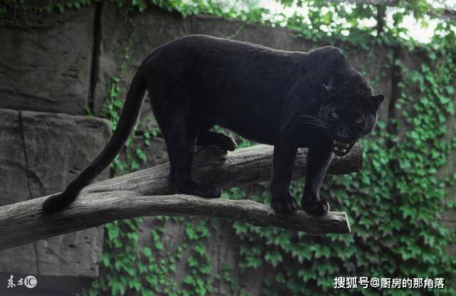 梦想成真 第4页