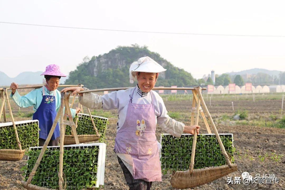 长顺县教育局关于中小学教师退出机制的创新与实践