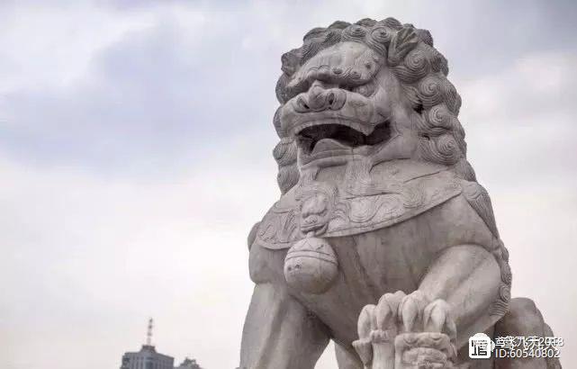 石狮子伤人事件，探究原因与应对之道