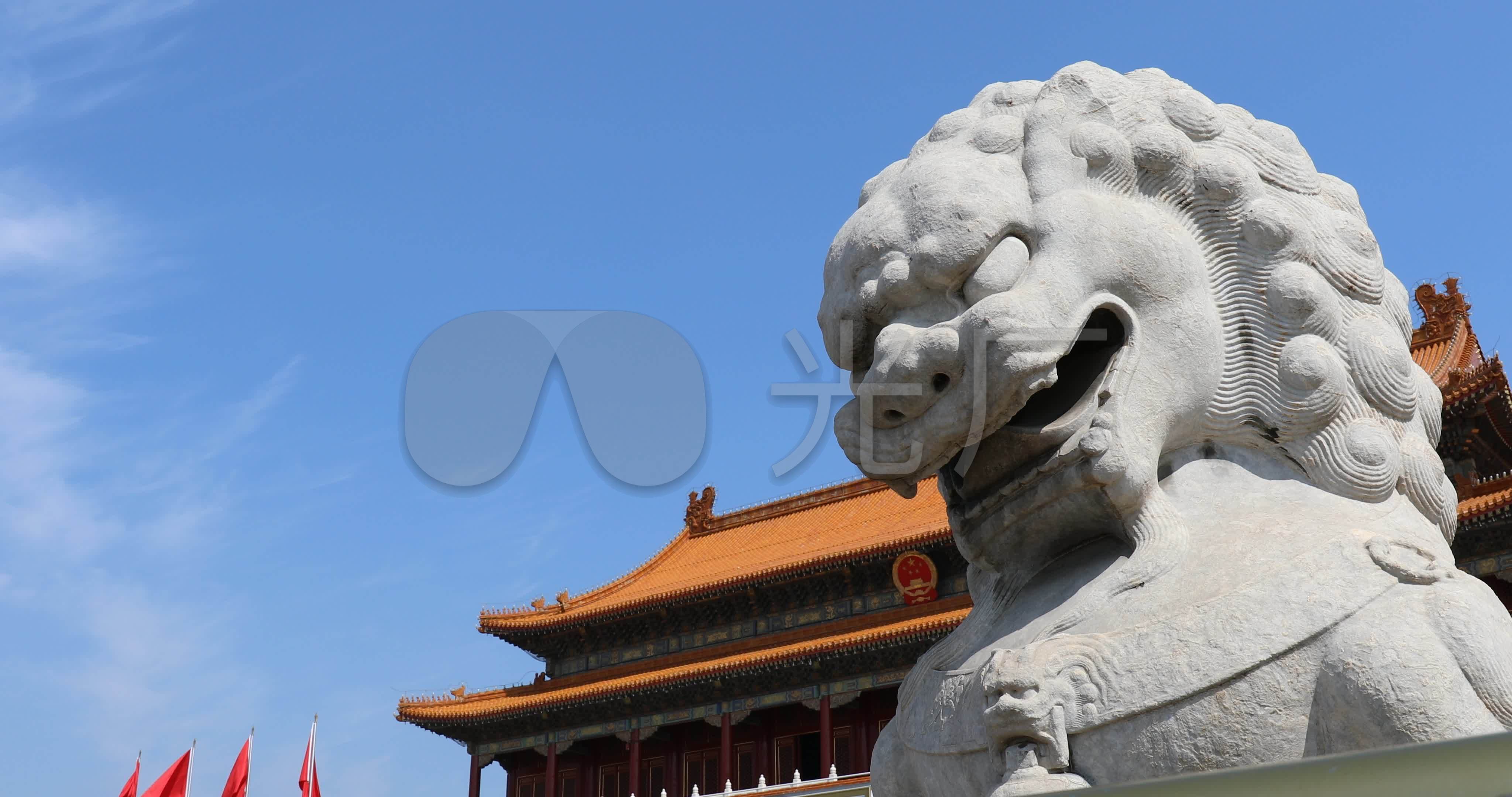 石狮子视频，古老与现代的完美结合