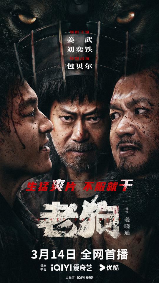 电影老狗不语只一味开打——暴力美学的独特魅力