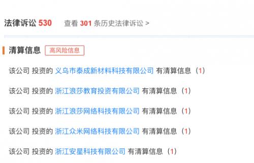 浪莎控股集团有限公司董事长，引领企业乘风破浪的领航者