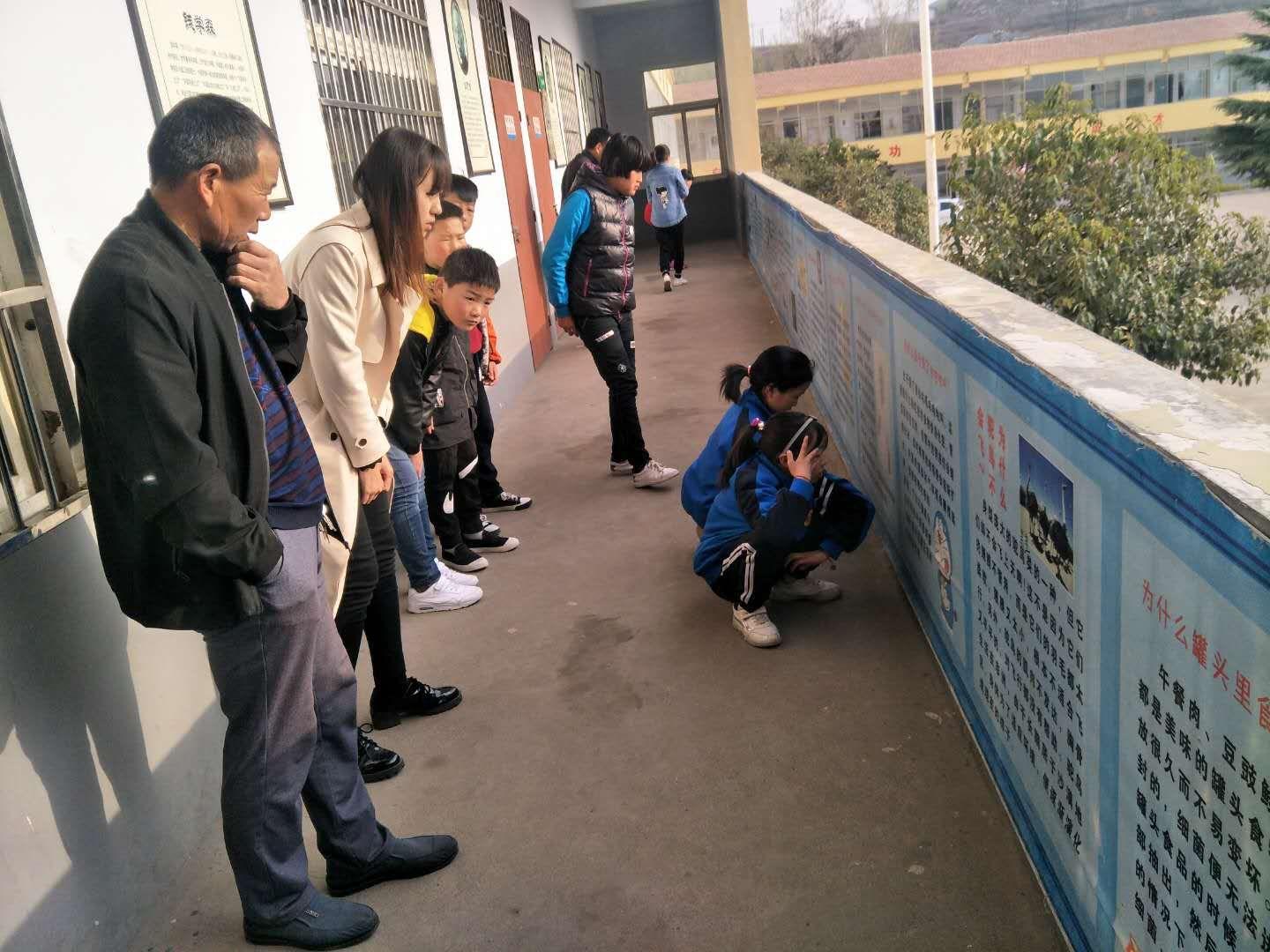 揭秘啄木鸟行动报道，深度剖析背后的故事
