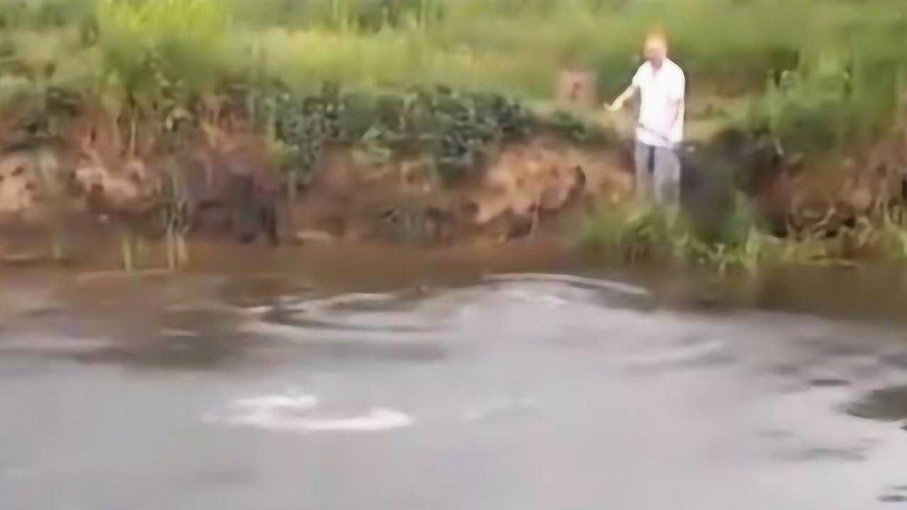 男子钓鱼遭遇意外，大鱼拉下水溺亡的悲剧