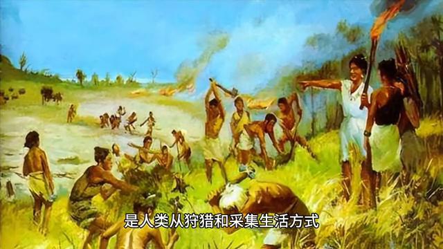 新能源车十大谣言揭秘，真相与误解的碰撞