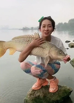 轻缣素练 第4页