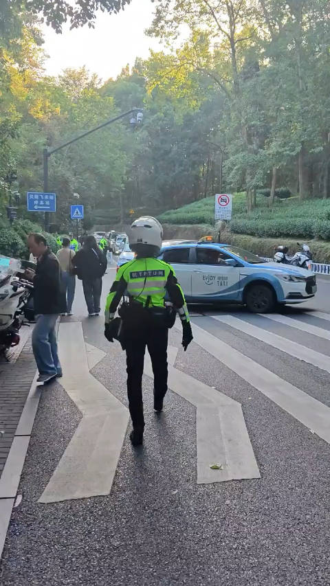 杭州交警回应网友称兔子警官被撞，事件背后的故事与反思