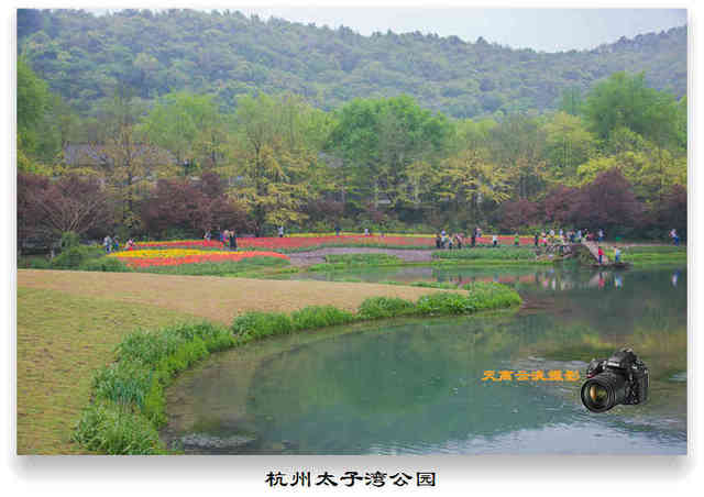 西湖新纪元，两亿人的梦想，一亿人共赴太子湾