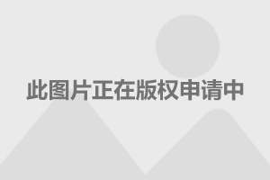 心应为你像死一样沉寂 第4页