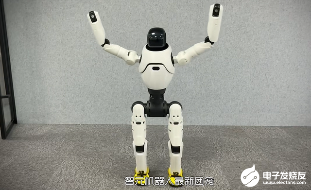 人形机器人泡沫即将破灭，现实与未来的思考