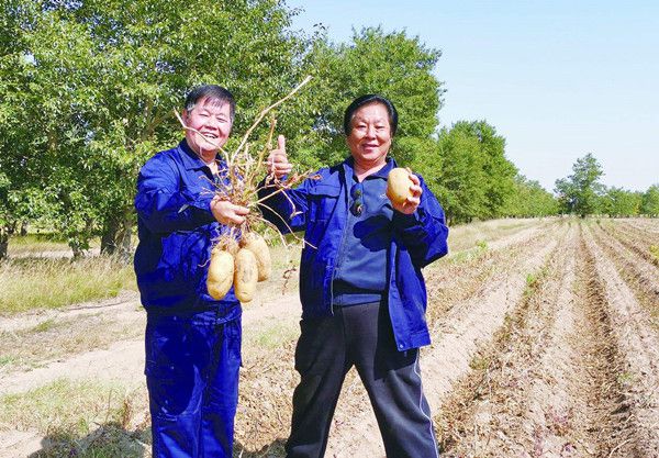 土豆大王梁希森逝世，缅怀一代传奇