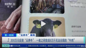 揭秘租牛养殖骗局，警惕虚假投资陷阱