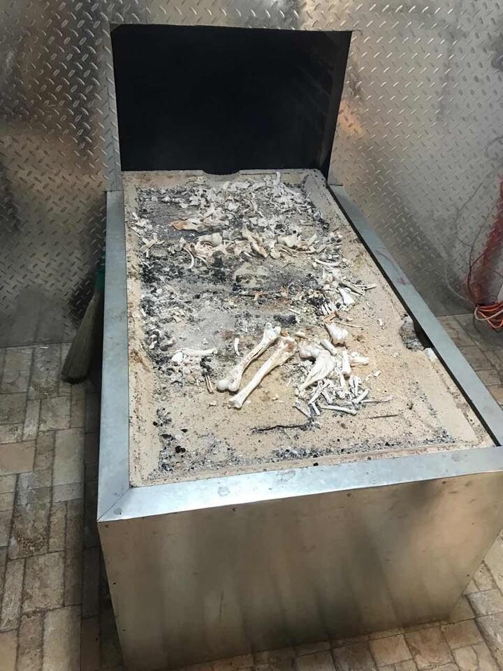 揭秘火化时遗体会突然坐起来的现象