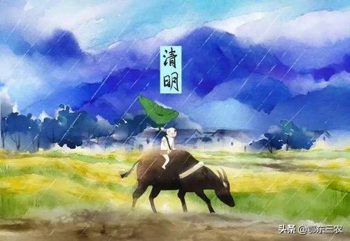 清明时节为何总下雨？解密背后的神秘现象