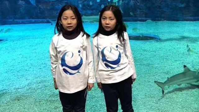 双胞胎姐妹相继离世的悲歌