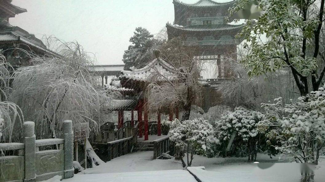 闪耀的0秒，揭秘00后女生魔方还原之谜