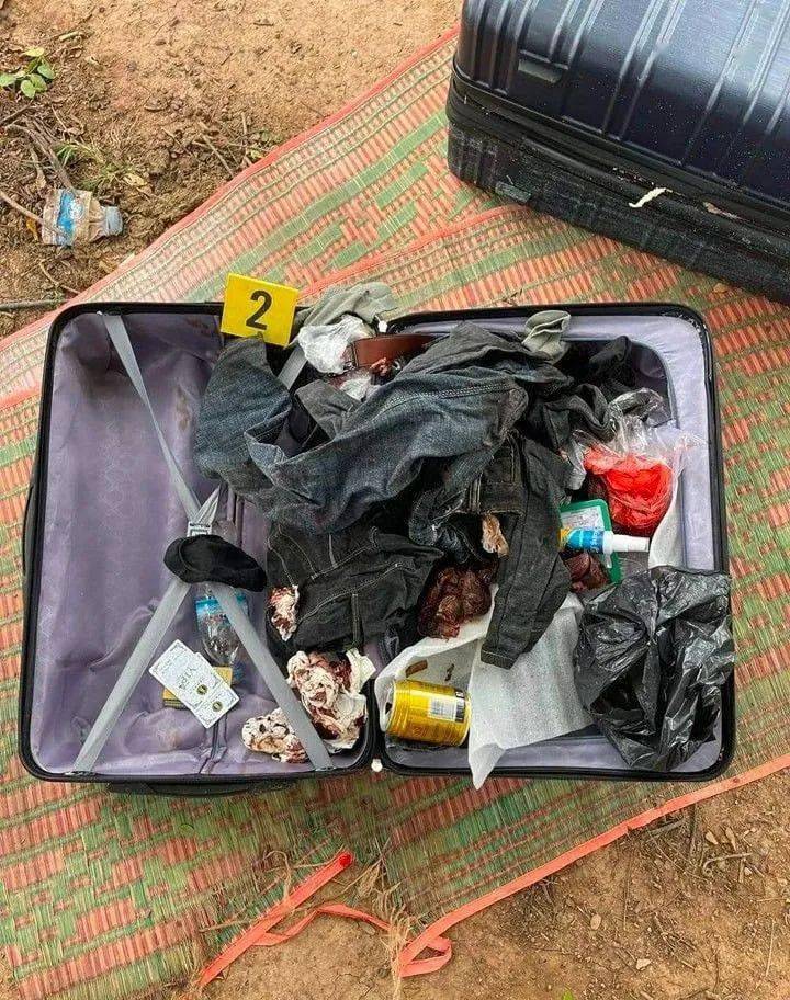 行李箱藏尸逃犯落网，揭开隐匿真相的悬疑之旅