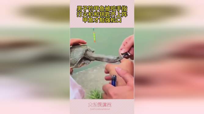 堇色安年，谁许我一世荒芜 第2页