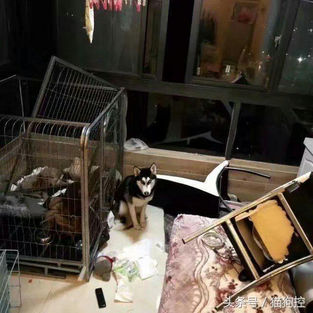 好好的房顶被风掀了——一场天灾的反思