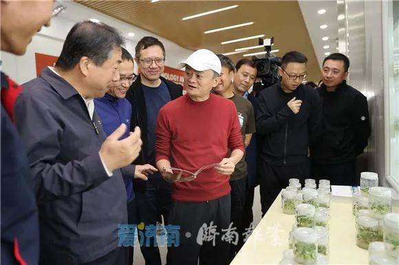 马云视察新办公区，前瞻科技与未来办公的深度融合