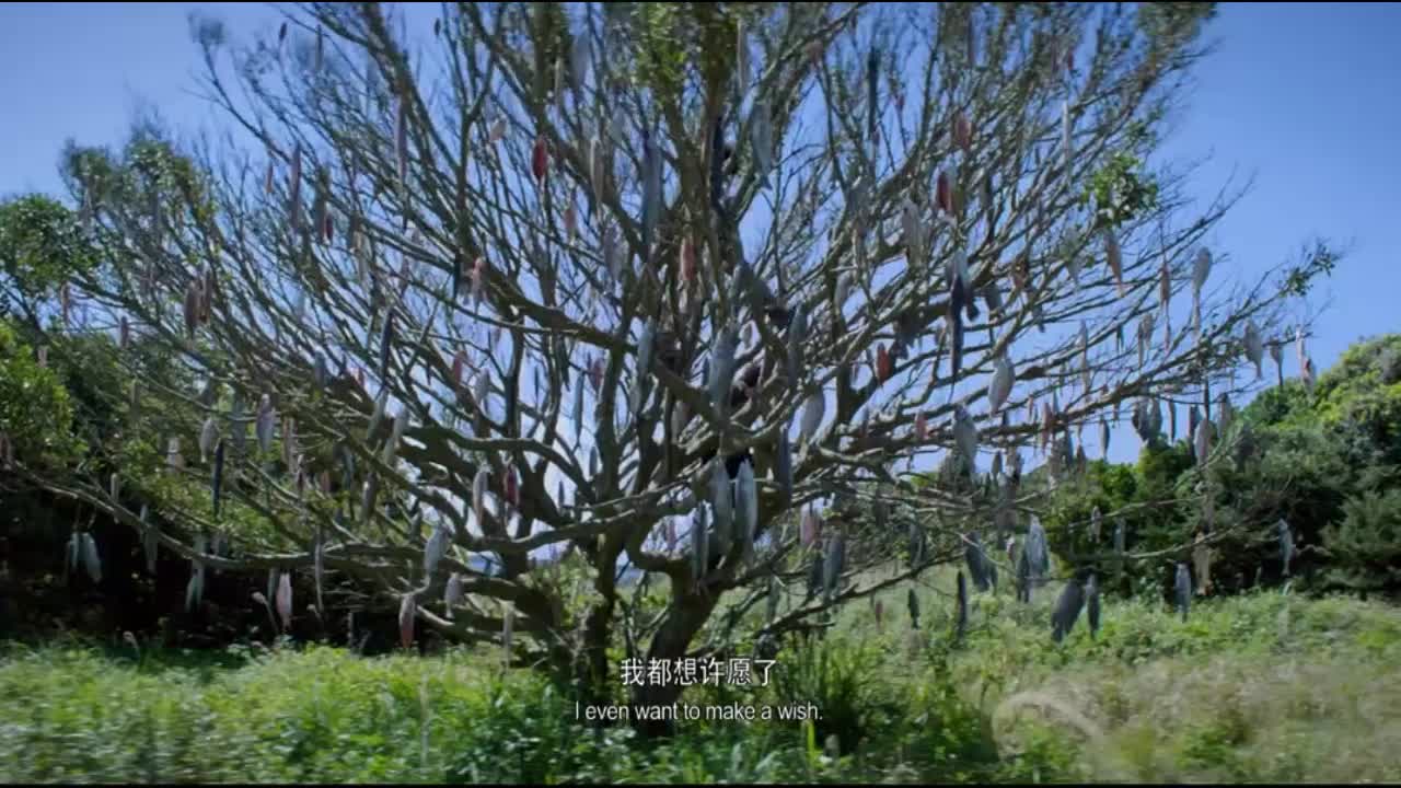 把鱼挂在树上，一种超乎想象的奇妙现象