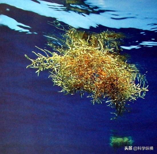 揭秘华北大风，风力异乎寻常的背后原因
