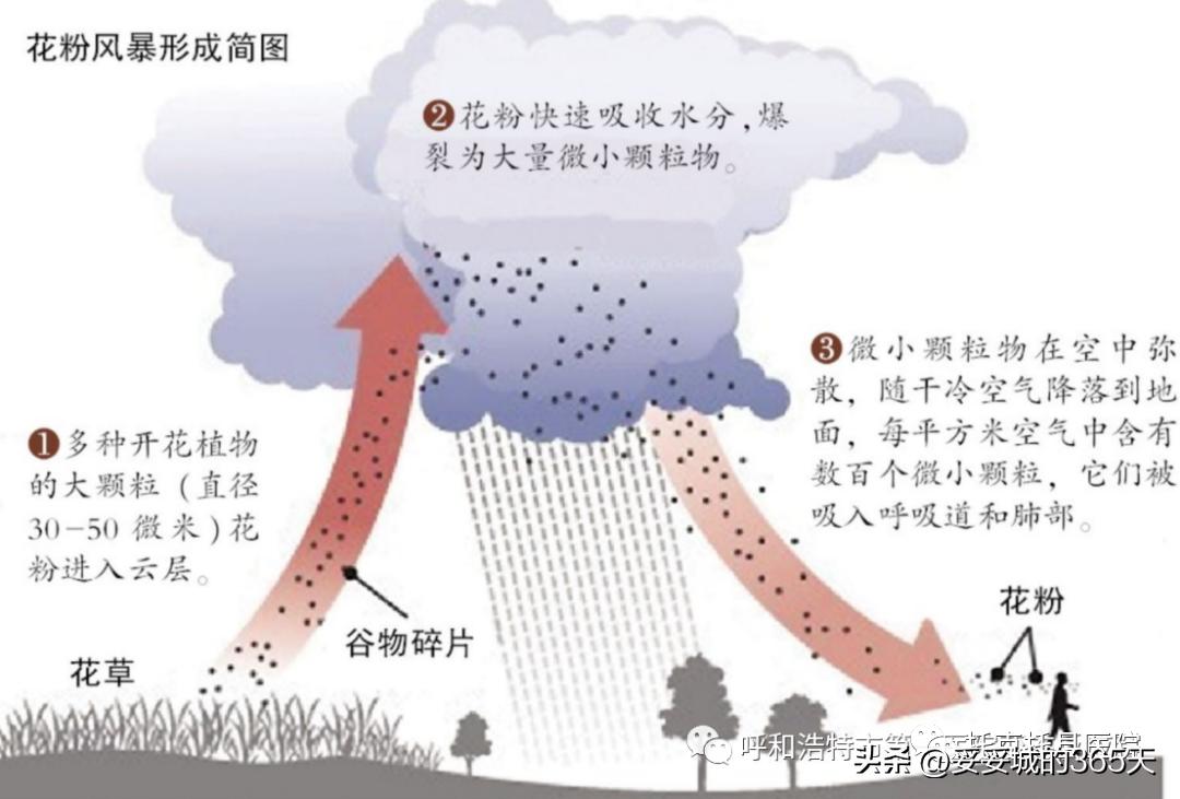 浅夏〆忆汐 第3页