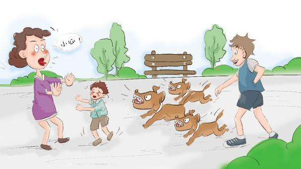 惊魂一刻，7岁男孩遭遇大型犬群袭击的悲惨经历