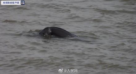 无限◆战火 第3页