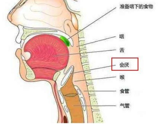 喉咙痛患会厌炎去世，警惕咽喉健康的警钟