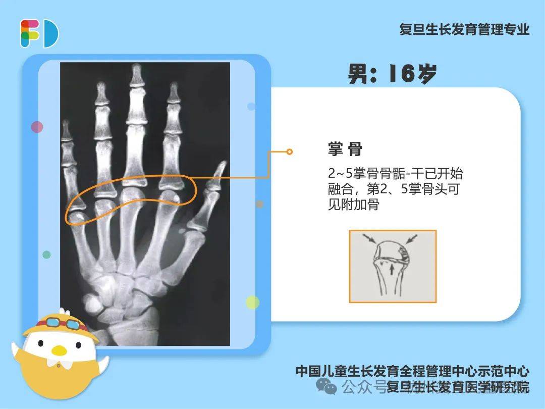 谜一般的女人 第2页
