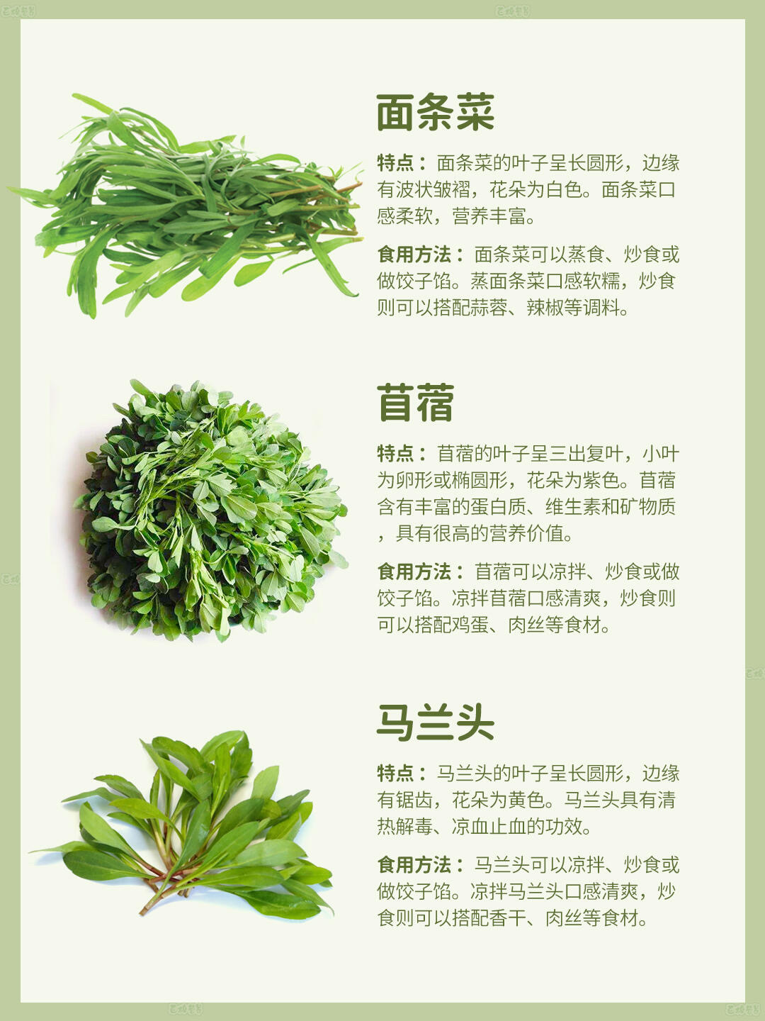 美国人开始薅野菜了，一场生活方式的转变与挑战
