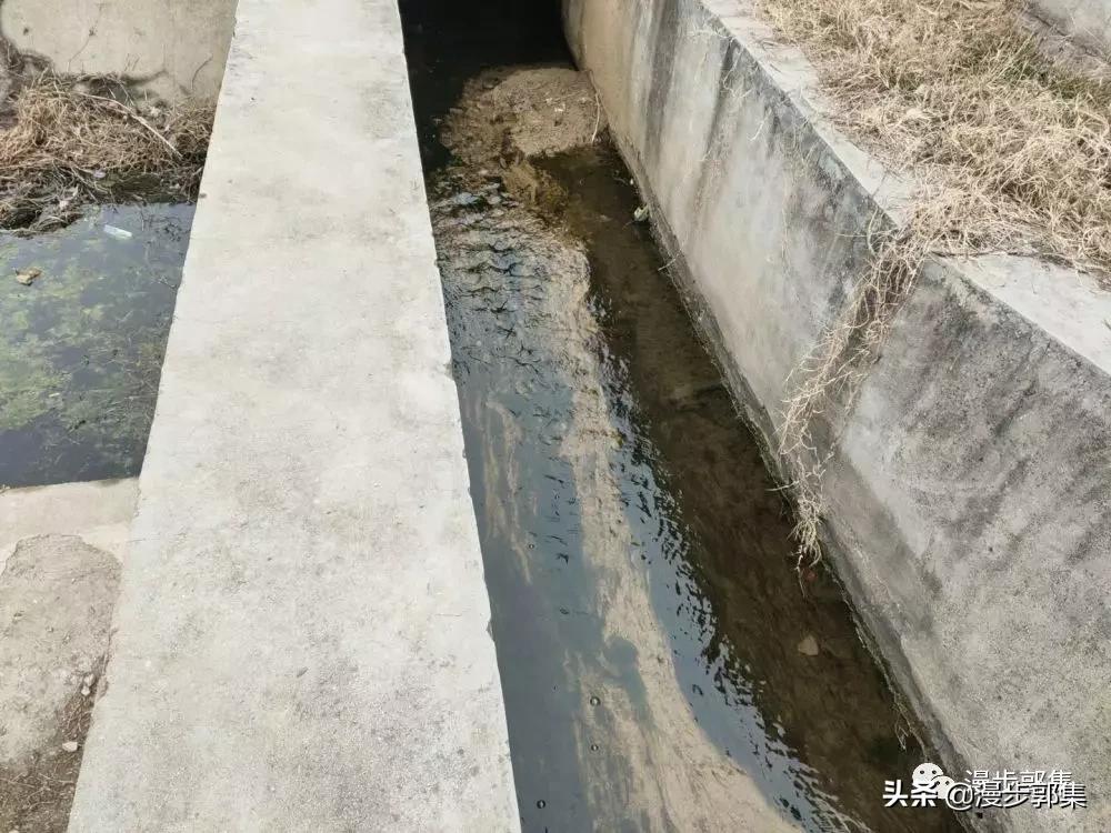 未来的探险者   第2页