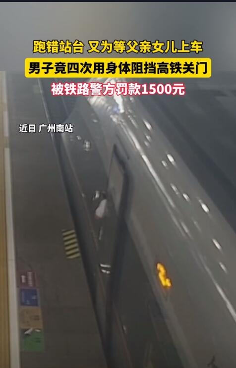 女子阻挡高铁关门事件深度解析