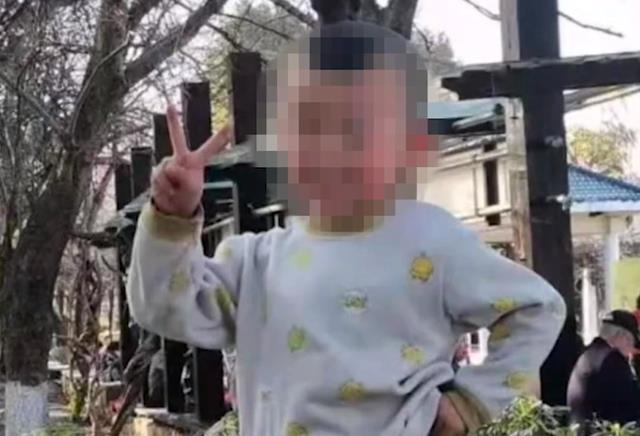 寻找消失的足迹，一名三岁男童失踪近四个月的深度追踪