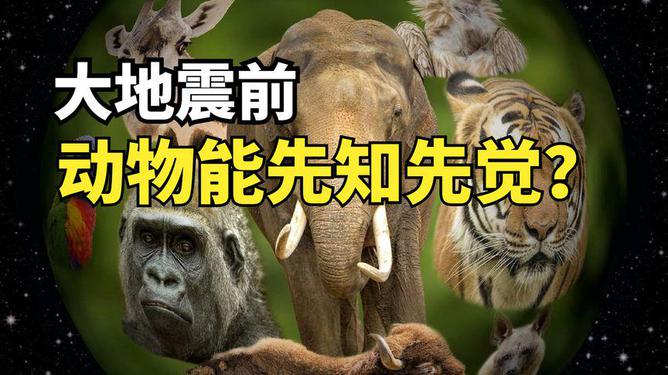 动物异常行为与地震，自然界的隐秘信号