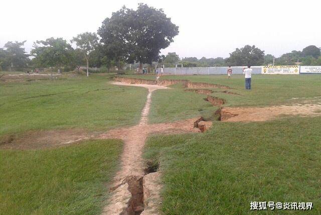 动物行为异常与地震发生的关系探究