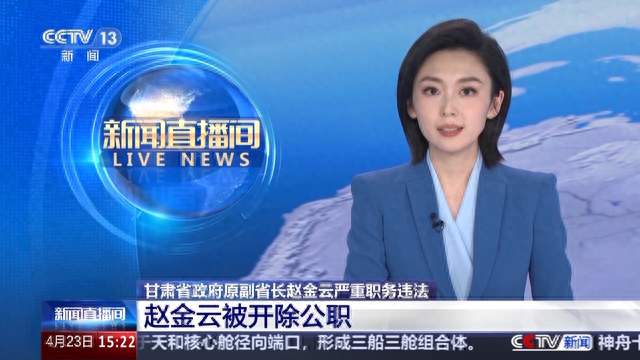 赵金云被开除公职事件深度解析