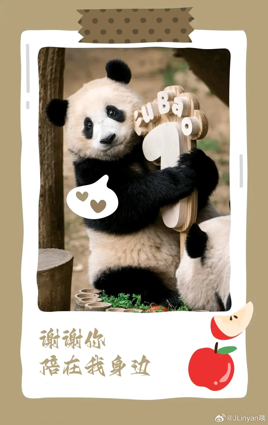 福宝进入假孕状态，两位爷爷的惊喜与关心