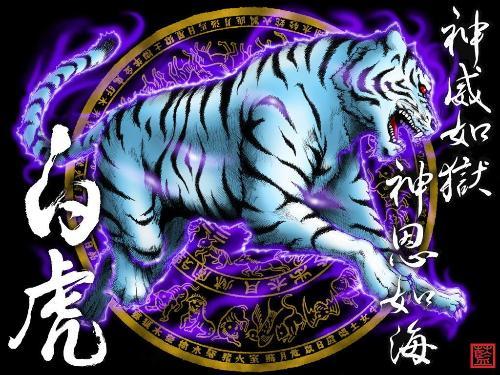 男子取名朱雀玄武敕令，探寻神秘命名的背后故事