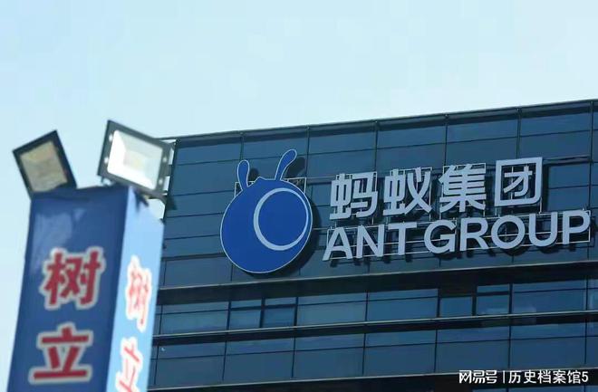 蚂蚁集团的股份分配，深度解析与观察