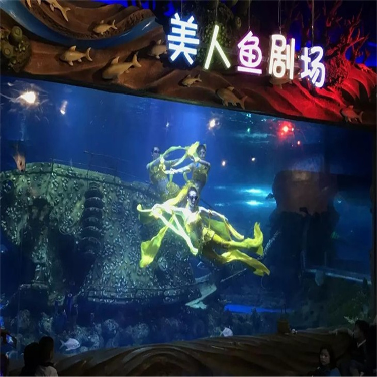 揭秘沈阳美人鱼，神秘魅力的背后故事