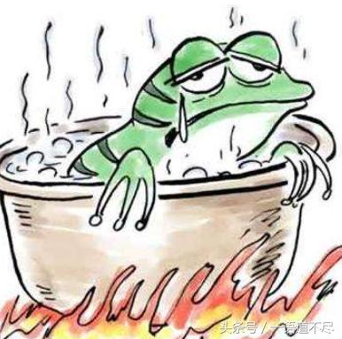 高中为何不实行双休日制度的深度解析
