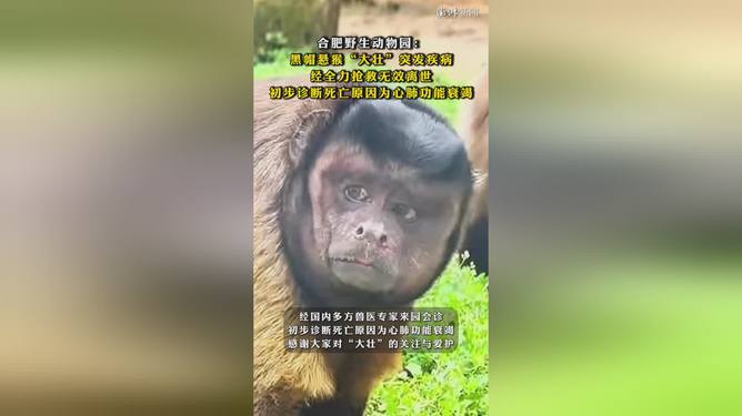 地方新闻 第8页