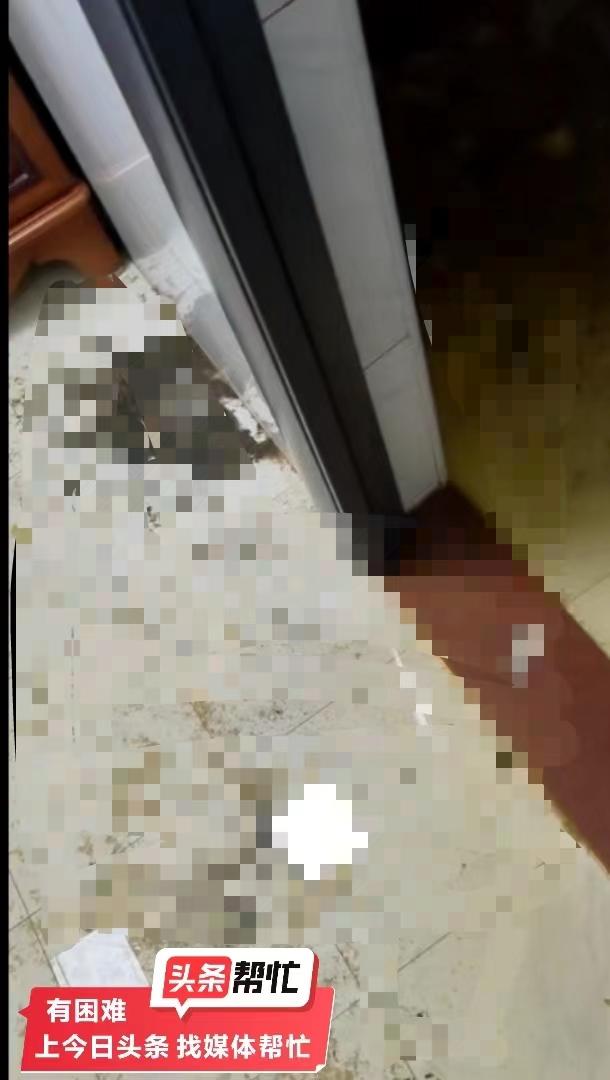 婚房被粪水浸泡，业主崩溃！遭遇背后的辛酸与维权之路